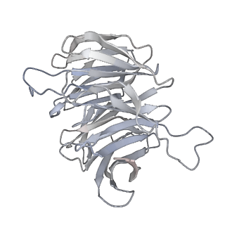 10537_6tnu_O_v1-1
Yeast 80S ribosome in complex with eIF5A and decoding A-site and P-site tRNAs.
