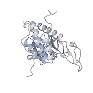 10537_6tnu_P_v1-1
Yeast 80S ribosome in complex with eIF5A and decoding A-site and P-site tRNAs.