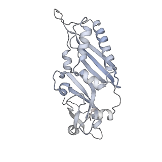10537_6tnu_Q_v1-1
Yeast 80S ribosome in complex with eIF5A and decoding A-site and P-site tRNAs.