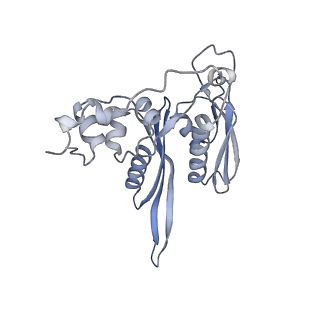 10537_6tnu_R_v1-1
Yeast 80S ribosome in complex with eIF5A and decoding A-site and P-site tRNAs.