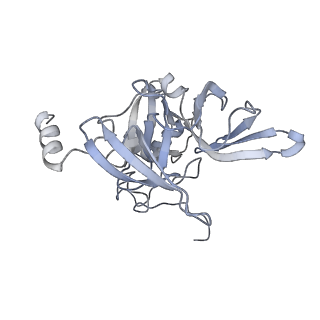 10537_6tnu_S_v1-1
Yeast 80S ribosome in complex with eIF5A and decoding A-site and P-site tRNAs.