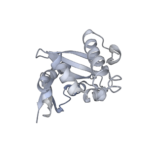 10537_6tnu_U_v1-1
Yeast 80S ribosome in complex with eIF5A and decoding A-site and P-site tRNAs.