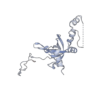 10537_6tnu_V_v1-1
Yeast 80S ribosome in complex with eIF5A and decoding A-site and P-site tRNAs.