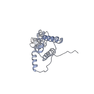 10537_6tnu_W_v1-1
Yeast 80S ribosome in complex with eIF5A and decoding A-site and P-site tRNAs.