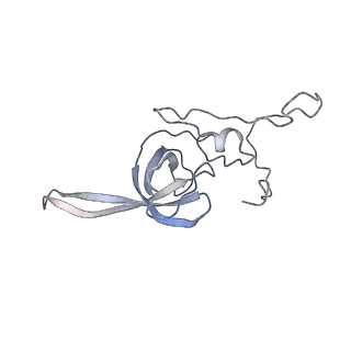 10537_6tnu_X_v1-1
Yeast 80S ribosome in complex with eIF5A and decoding A-site and P-site tRNAs.