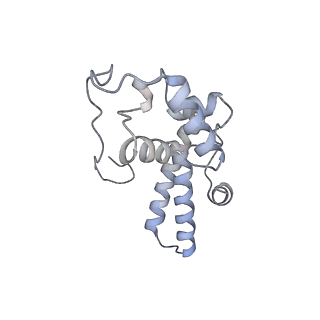 10537_6tnu_Y_v1-1
Yeast 80S ribosome in complex with eIF5A and decoding A-site and P-site tRNAs.
