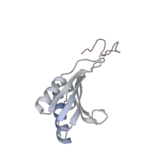 10537_6tnu_Z_v1-1
Yeast 80S ribosome in complex with eIF5A and decoding A-site and P-site tRNAs.