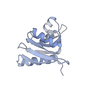 10537_6tnu_b_v1-1
Yeast 80S ribosome in complex with eIF5A and decoding A-site and P-site tRNAs.
