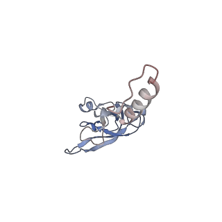 10537_6tnu_c_v1-1
Yeast 80S ribosome in complex with eIF5A and decoding A-site and P-site tRNAs.