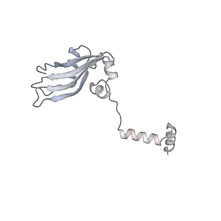 10537_6tnu_d_v1-1
Yeast 80S ribosome in complex with eIF5A and decoding A-site and P-site tRNAs.