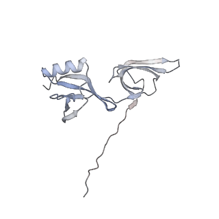 10537_6tnu_eI_v1-1
Yeast 80S ribosome in complex with eIF5A and decoding A-site and P-site tRNAs.
