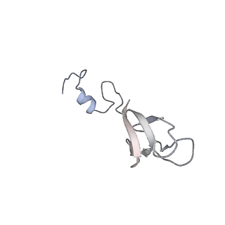 10537_6tnu_f_v1-1
Yeast 80S ribosome in complex with eIF5A and decoding A-site and P-site tRNAs.