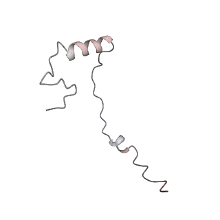 10537_6tnu_g_v1-1
Yeast 80S ribosome in complex with eIF5A and decoding A-site and P-site tRNAs.