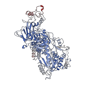 10539_6tny_A_v1-1
Processive human polymerase delta holoenzyme