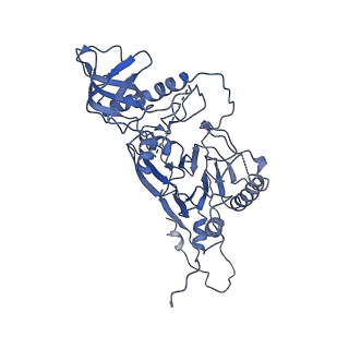 10539_6tny_B_v1-1
Processive human polymerase delta holoenzyme