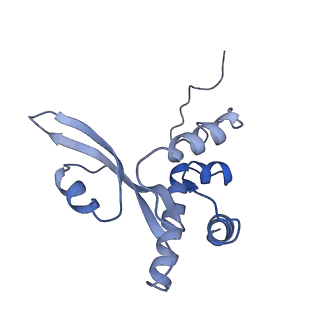 10539_6tny_C_v1-1
Processive human polymerase delta holoenzyme