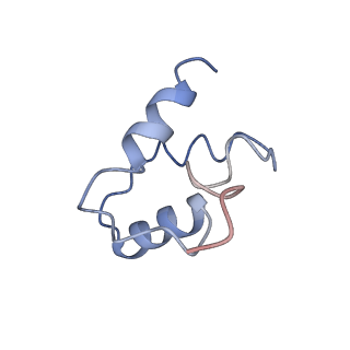 10539_6tny_D_v1-1
Processive human polymerase delta holoenzyme
