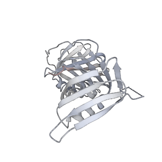 10539_6tny_E_v1-1
Processive human polymerase delta holoenzyme