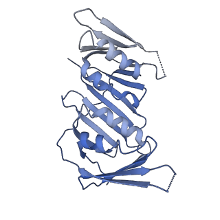 10539_6tny_F_v1-1
Processive human polymerase delta holoenzyme