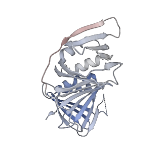 10539_6tny_G_v1-1
Processive human polymerase delta holoenzyme