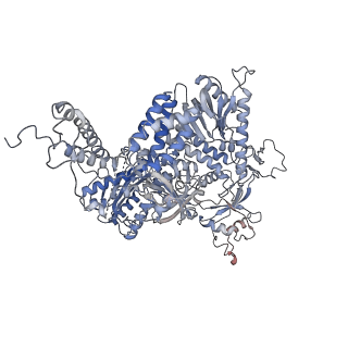 10540_6tnz_A_v1-1
Human polymerase delta-FEN1-PCNA toolbelt