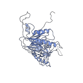 10540_6tnz_B_v1-1
Human polymerase delta-FEN1-PCNA toolbelt