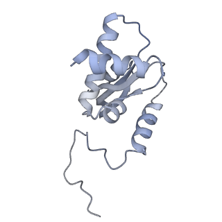 10540_6tnz_C_v1-1
Human polymerase delta-FEN1-PCNA toolbelt