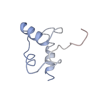 10540_6tnz_D_v1-1
Human polymerase delta-FEN1-PCNA toolbelt