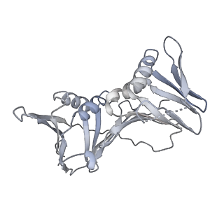 10540_6tnz_E_v1-1
Human polymerase delta-FEN1-PCNA toolbelt
