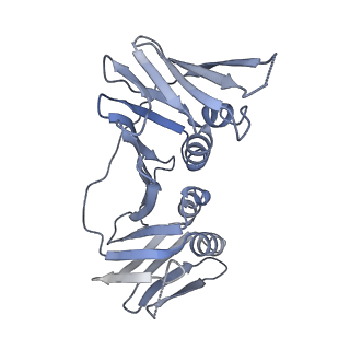 10540_6tnz_F_v1-1
Human polymerase delta-FEN1-PCNA toolbelt