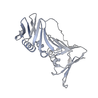 10540_6tnz_G_v1-1
Human polymerase delta-FEN1-PCNA toolbelt