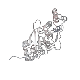 10540_6tnz_H_v1-1
Human polymerase delta-FEN1-PCNA toolbelt