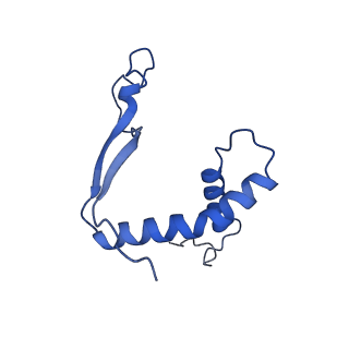 26005_7tn9_X_v1-2
Structure of the Inmazeb cocktail and resistance to escape against Ebola virus