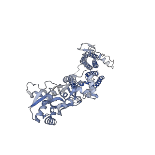 26011_7tnj_A_v1-2
Complex NNNN of AMPA-subtype iGluR GluA2 in complex with auxiliary subunit gamma2 (Stargazin) at low glutamate concentration (20 uM) in the presence of cyclothiazide (100 uM)