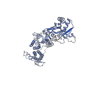 26011_7tnj_C_v1-2
Complex NNNN of AMPA-subtype iGluR GluA2 in complex with auxiliary subunit gamma2 (Stargazin) at low glutamate concentration (20 uM) in the presence of cyclothiazide (100 uM)