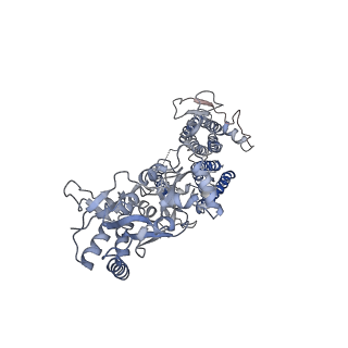 26012_7tnk_A_v1-2
Complex GNNN of AMPA-subtype iGluR GluA2 in complex with auxiliary subunit gamma2 (Stargazin) at low glutamate concentration (20 uM) in the presence of cyclothiazide (100 uM)