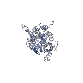 26012_7tnk_B_v1-2
Complex GNNN of AMPA-subtype iGluR GluA2 in complex with auxiliary subunit gamma2 (Stargazin) at low glutamate concentration (20 uM) in the presence of cyclothiazide (100 uM)