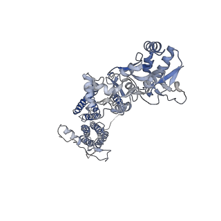 26012_7tnk_C_v1-2
Complex GNNN of AMPA-subtype iGluR GluA2 in complex with auxiliary subunit gamma2 (Stargazin) at low glutamate concentration (20 uM) in the presence of cyclothiazide (100 uM)