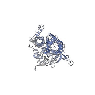 26012_7tnk_D_v1-2
Complex GNNN of AMPA-subtype iGluR GluA2 in complex with auxiliary subunit gamma2 (Stargazin) at low glutamate concentration (20 uM) in the presence of cyclothiazide (100 uM)
