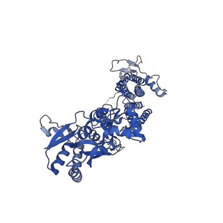 26013_7tnl_A_v1-2
Complex GNGN1 of AMPA-subtype iGluR GluA2 in complex with auxiliary subunit gamma2 (Stargazin) at low glutamate concentration (20 uM) in the presence of cyclothiazide (100 uM)
