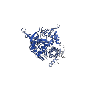 26013_7tnl_B_v1-2
Complex GNGN1 of AMPA-subtype iGluR GluA2 in complex with auxiliary subunit gamma2 (Stargazin) at low glutamate concentration (20 uM) in the presence of cyclothiazide (100 uM)