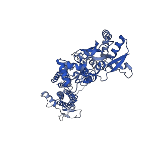 26013_7tnl_C_v1-2
Complex GNGN1 of AMPA-subtype iGluR GluA2 in complex with auxiliary subunit gamma2 (Stargazin) at low glutamate concentration (20 uM) in the presence of cyclothiazide (100 uM)