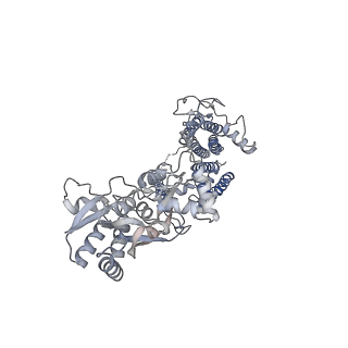 26014_7tnm_A_v1-2
Complex GNGN2 of AMPA-subtype iGluR GluA2 in complex with auxiliary subunit gamma2 (Stargazin) at low glutamate concentration (20 uM) in the presence of cyclothiazide (100 uM)