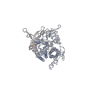 26014_7tnm_B_v1-2
Complex GNGN2 of AMPA-subtype iGluR GluA2 in complex with auxiliary subunit gamma2 (Stargazin) at low glutamate concentration (20 uM) in the presence of cyclothiazide (100 uM)