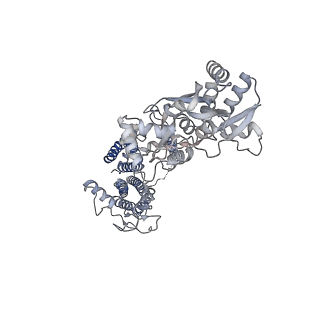 26014_7tnm_C_v1-2
Complex GNGN2 of AMPA-subtype iGluR GluA2 in complex with auxiliary subunit gamma2 (Stargazin) at low glutamate concentration (20 uM) in the presence of cyclothiazide (100 uM)