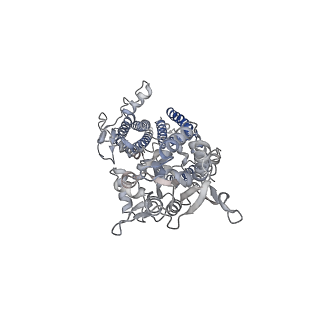 26014_7tnm_D_v1-2
Complex GNGN2 of AMPA-subtype iGluR GluA2 in complex with auxiliary subunit gamma2 (Stargazin) at low glutamate concentration (20 uM) in the presence of cyclothiazide (100 uM)