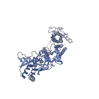 26015_7tnn_A_v1-2
Complex GGNN of AMPA-subtype iGluR GluA2 in complex with auxiliary subunit gamma2 (Stargazin) at low glutamate concentration (20 uM) in the presence of cyclothiazide (100 uM)