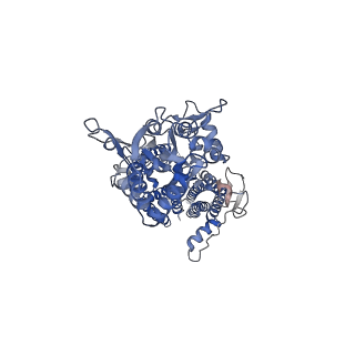 26015_7tnn_B_v1-2
Complex GGNN of AMPA-subtype iGluR GluA2 in complex with auxiliary subunit gamma2 (Stargazin) at low glutamate concentration (20 uM) in the presence of cyclothiazide (100 uM)