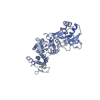 26015_7tnn_C_v1-2
Complex GGNN of AMPA-subtype iGluR GluA2 in complex with auxiliary subunit gamma2 (Stargazin) at low glutamate concentration (20 uM) in the presence of cyclothiazide (100 uM)