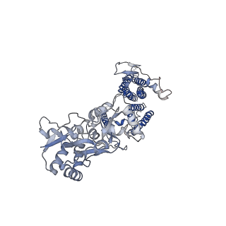 26017_7tnp_A_v1-2
Complex GGGG of AMPA-subtype iGluR GluA2 in complex with auxiliary subunit gamma2 (Stargazin) at low glutamate concentration (20 uM) in the presence of cyclothiazide (100 uM)